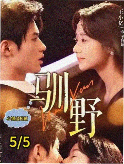 依依影院收录剧集《静默信号塔》标本海报